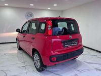 Usata Fiat Panda 69 CV (50 kW) 2022 Rosso Utilitaria