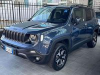 Usata Jeep Renegade Trailhawk 179 CV (131 kW) 2021 Blu/azzurro SUV