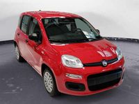 Nuova Fiat Panda Icon 65 CV (47 kW) 2026 Rosso passione pastello Utilitaria