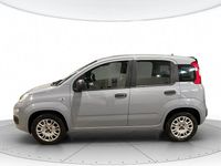 Usata Fiat Panda Lounge 69 CV (50 kW) 2018 Grigio Utilitaria