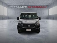 Nuova Fiat Ducato 177 CV (130 kW) 2025 Bianco Furgone