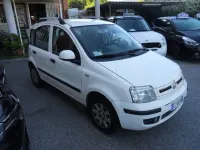 Usata Fiat Panda Dynamic 75 CV (55 kW) 2011 Bianco Utilitaria