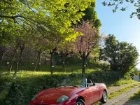 Usata Fiat Barchetta 131 CV (96 kW) 2002 Rosso Cabrio