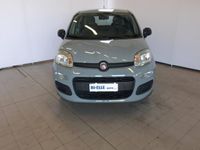 usata Fiat Panda 3ª serie 1.2 EasyPower Easy