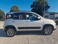 Usata Fiat Panda 4x4 S 95 CV (69 kW) 2017 Argento Utilitaria