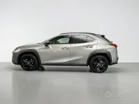 Usata Lexus UX 250h 184 CV (135 kW) 2022 Grigio SUV
