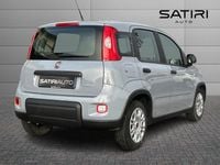 Usata Fiat Panda S 69 CV (50 kW) 2022 Bianco Utilitaria