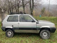Usata Fiat Panda 4x4 Club 54 CV (39 kW) 1996 Utilitaria