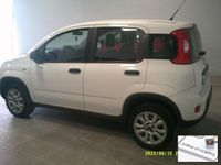 usata Fiat Panda 4x4 - - 1.3 MJT S&S