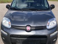 Usata Fiat Panda Lounge 69 CV (50 kW) 2018 Grigio Utilitaria
