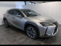 usata Lexus UX Full Electric Premium del 2019 usata a Torino