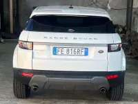 Gebraucht Land Rover Range Rover evoque Pure 150 PS (110 kW) 2016 Weiß SUV
