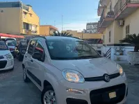 Usata Fiat Panda Pop 69 CV (50 kW) 2012 Beige Utilitaria