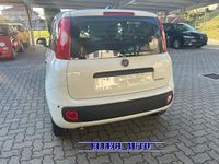 Nuova Fiat Panda 69 CV (50 kW) 2025 Bianco extraserie Berlina