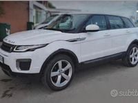 Usata Land Rover Range Rover evoque 150 CV (110 kW) 2016 Bianco SUV