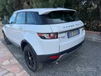 Usata Land Rover Range Rover evoque Pure 150 CV (110 kW) 2014 Bianco SUV