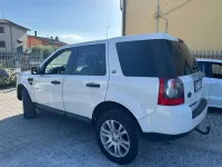 Usata Land Rover Freelander 2 SE 160 CV (117 kW) 2009 Bianco SUV