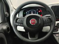 Usata Fiat Panda Cross Cross 70 CV (51 kW) 2024 Bianco Utilitaria