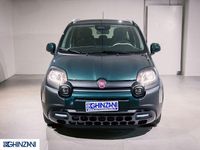 Nuova Fiat Panda Cross 69 CV (50 kW) 2025 Verde foresta Utilitaria