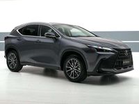 Usata Lexus NX350h 190 CV (139 kW) 2023 Antracite SUV