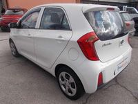 Usata Kia Picanto 65 CV (47 kW) 2016 Bianco Utilitaria