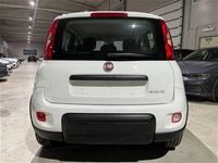 usata Fiat Panda Cross 1.0 FireFly S&S Hybrid City usato