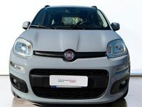 Usata Fiat Panda Lounge 69 CV (50 kW) 2020 Grigio Utilitaria
