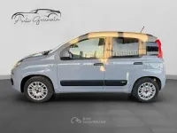 Usata Fiat Panda Lounge 69 CV (50 kW) 2020 Gray Utilitaria