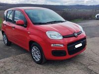 usata Fiat Panda 1.0 FireFly S&S Hybrid