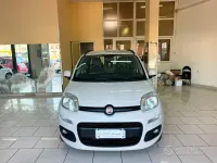 Usata Fiat Panda Lounge 80 CV (58 kW) 2013 Beige Utilitaria