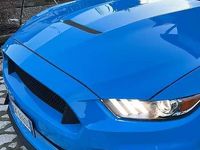 Usata Ford Mustang Fastback 317 CV (233 kW) 2019 Coupé