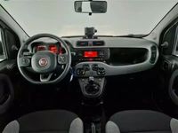 usata Fiat Panda 1.0 70cv S/S Hybrid City Life 5 PORTE