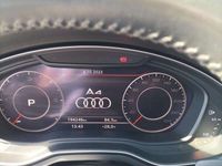 usata Audi A4 2.0 tdi Business 190cv s-tronic