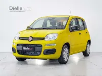 Nuova Fiat Panda Icon 65 CV (47 kW) 2026 Giallo pastello Utilitaria