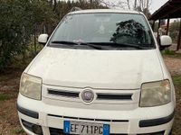 Usata Fiat Panda 77 CV (56 kW) 2010 Bianco Utilitaria