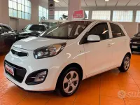 Usata Kia Picanto 69 CV (50 kW) 2011 Bianco Utilitaria