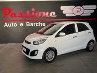 Usata Kia Picanto 66 CV (48 kW) 2015 Bianco Utilitaria