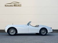 Usata Jaguar XK 162 CV (119 kW) 1951 Bianco Cabrio
