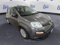 Usata Fiat Panda 69 CV (50 kW) 2023 Bianco Berlina
