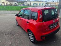Usata Fiat Panda Easy 95 CV (69 kW) 2017 Rosso Utilitaria