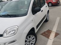 Usata Fiat Panda 70 CV (51 kW) 2014 Bianco Utilitaria
