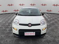 Usata Fiat Panda 70 CV (51 kW) 2024 Bianco Berlina