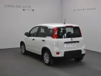 Nuova Fiat Panda Pop 65 CV (47 kW) 2026 Bianco Utilitaria