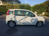 Usata Fiat Panda Easy 69 CV (50 kW) 2015 Bianco Utilitaria