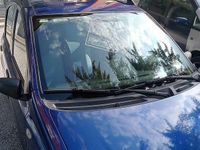 Usata Fiat Panda Active 54 CV (39 kW) 2009 Utilitaria