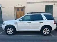 Usata Land Rover Freelander 2 S 190 CV (139 kW) 2012 Bianco SUV