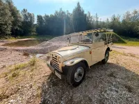 Usata Fiat Campagnola 1970 Marrone SUV