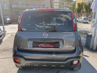 usata Fiat Panda Cross 1.0 1.0 FireFly S&S Hybrid