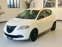 Usata Lancia Ypsilon 69 CV (50 kW) 2014 Bianco Utilitaria