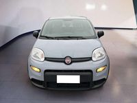 Usata Fiat Panda S 69 CV (50 kW) 2022 Grigio Utilitaria